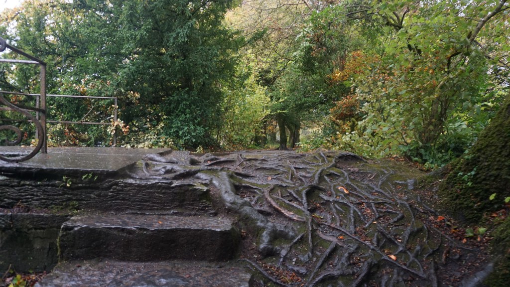 connemara, rain, ireland